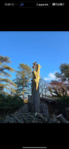 Photo de galerie - élagage abattage d'arbre