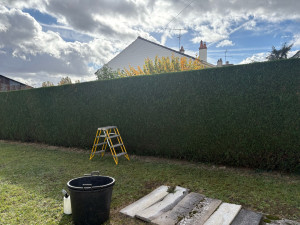 Photo de galerie - Taille de haies et d'arbustes