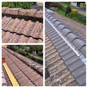 Photo de galerie - Remplacement de faîtière