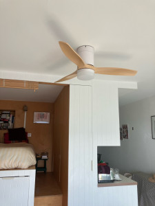 Photo de galerie - Ventilateur plafonnier