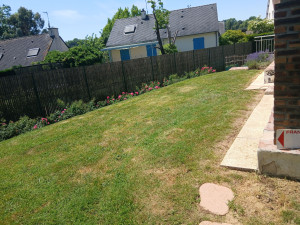 Photo de galerie - Tonte
