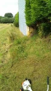 Photo de galerie - Tonte de pelouse - Débroussaillage