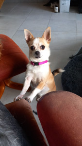 Photo de galerie - Nanouk
