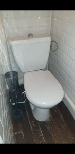 Photo de galerie - Remplacement d un WC
