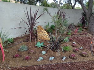 Photo de galerie - Création de jardin installation arrosage automatique goûte à goûte