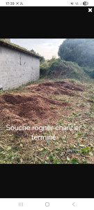 Photo de galerie - Elagage et coupe d'arbres