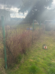 Photo de galerie - 1