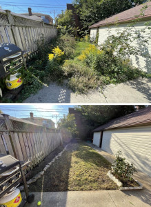 Photo de galerie - Avant après