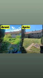 Photo de galerie - Débroussaillages et abattage d'arbre.