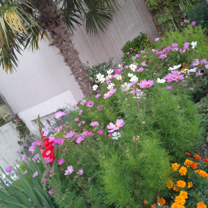 Photo de galerie - Jardinage semis plantation récolte
 légumes et fleurs
