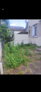 Photo de galerie - Avant le nettoyage 