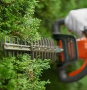 Photo de galerie - ??