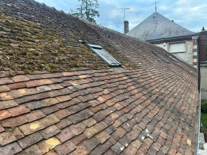 Photo de galerie - Demoussage 