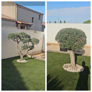 Photo de galerie - Paysagiste - Aménagement du jardin