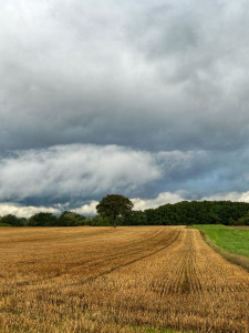Photo de galerie - Promenades et sorties véhiculées