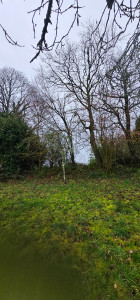 Photo de galerie - AVANT 
remise en état jardin