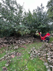 Photo de galerie - Broyeur de végétaux