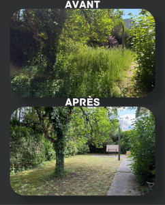 Photo de galerie - Tonte de pelouse - Débroussaillage