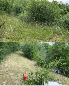 Photo de galerie - Tondeuse, plus débroussaillage, terrain friche après mon passage