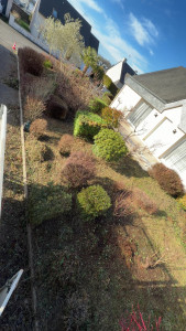 Photo de galerie - Après 