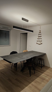 Photo de galerie - Installation d'un luminaire Philips 