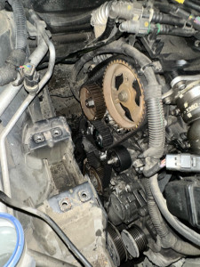 Photo de galerie - Courroie de distribution 