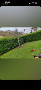 Photo de galerie - Taille de haies et d'arbustes