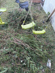 Photo de galerie - Elagage