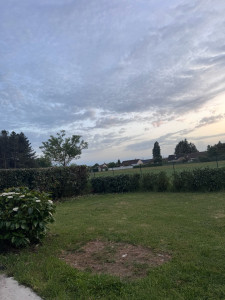 Photo de galerie - Taille réalisée sandillon