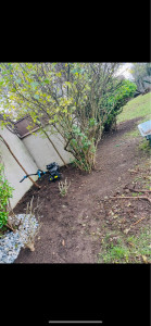 Photo de galerie - Création massif avec bordure 