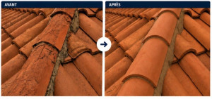 Photo de galerie - Couverture - Toiture