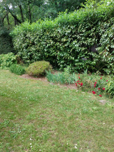 Photo de galerie - Jardinier