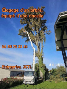 Photo de galerie - Elagage et coupe d'arbres