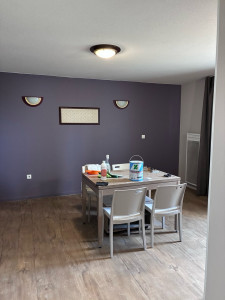 Photo de galerie - Rénovation d’une pièce de vie Appart’City : remise en peinture des murs, pose du sol PVC et finitions.