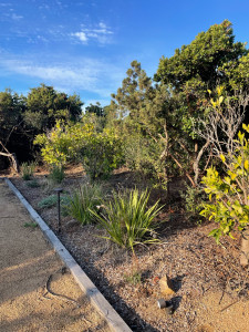 Photo de galerie - Entretien d’un jardin 