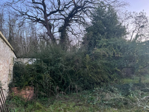 Photo de galerie - Tonte de pelouse - Débroussaillage