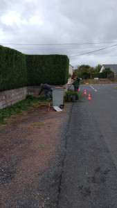 Photo de galerie - Taille de haie