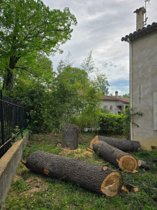 Photo de galerie - Fin de l'abattage près d'une clôture et d'une maison 