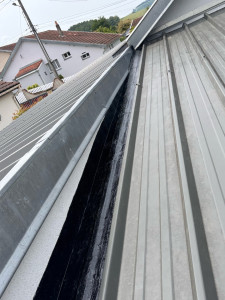 Photo de galerie - .