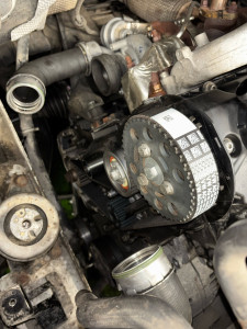 Photo de galerie - D