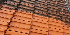 Photo de galerie - Nettoyage toiture Rinçage basse pressions 