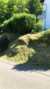 Photo de galerie - Tonte de pelouse - Débroussaillage