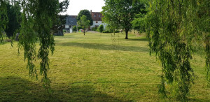 Photo de galerie - Tonte jardin