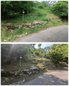 Photo de galerie - Tonte de pelouse - Débroussaillage