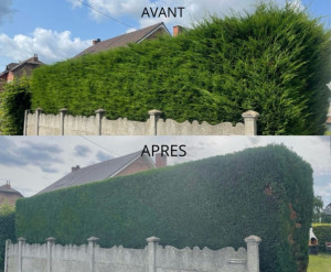 Photo de galerie - Taille de haies et d'arbustes