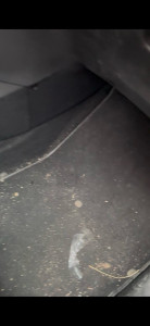 Photo de galerie - .