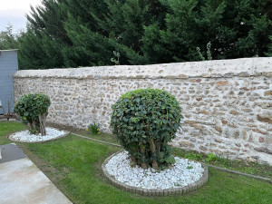 Photo de galerie - Taille arbuste , karsher mur et tonte 