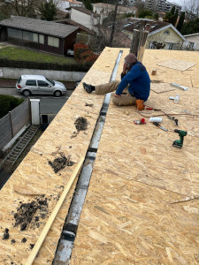 Photo de galerie - Couverture - Toiture