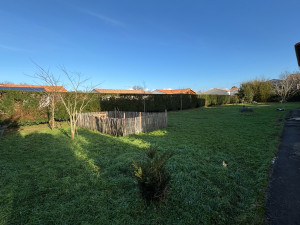 Photo de galerie - Taille de haie 