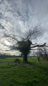 Photo de galerie - Avant 